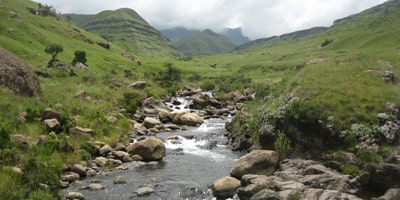Umhlaba Environmental Consulting Other services min